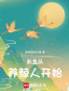 �����������˿�ʼ