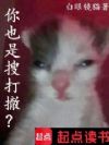 ��Ҳ���Ѵ򳷣�